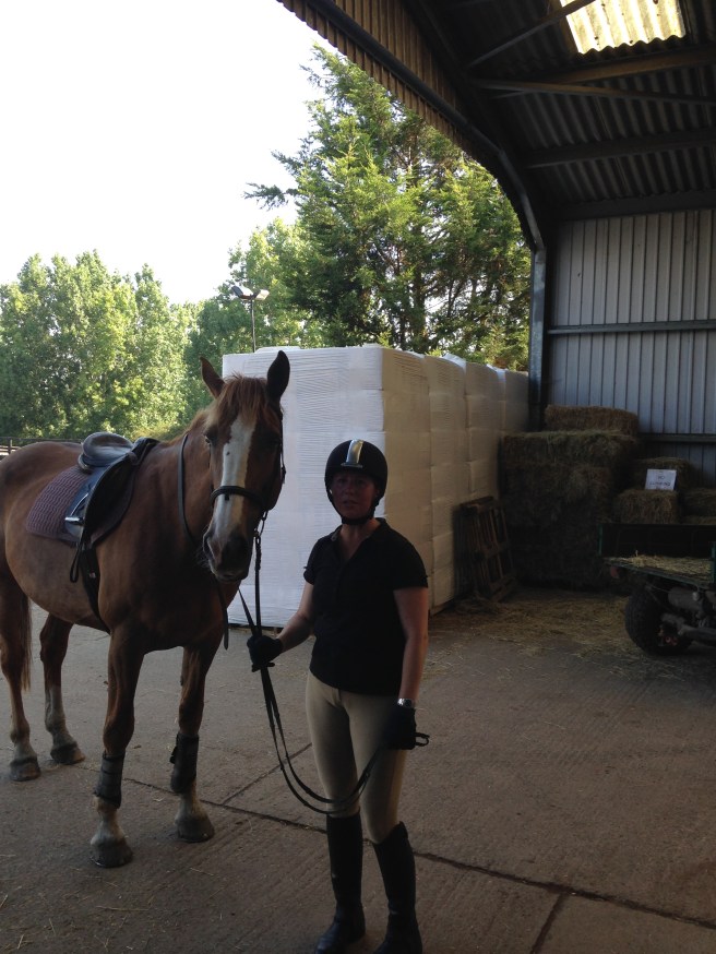 Dora the chestnut mare