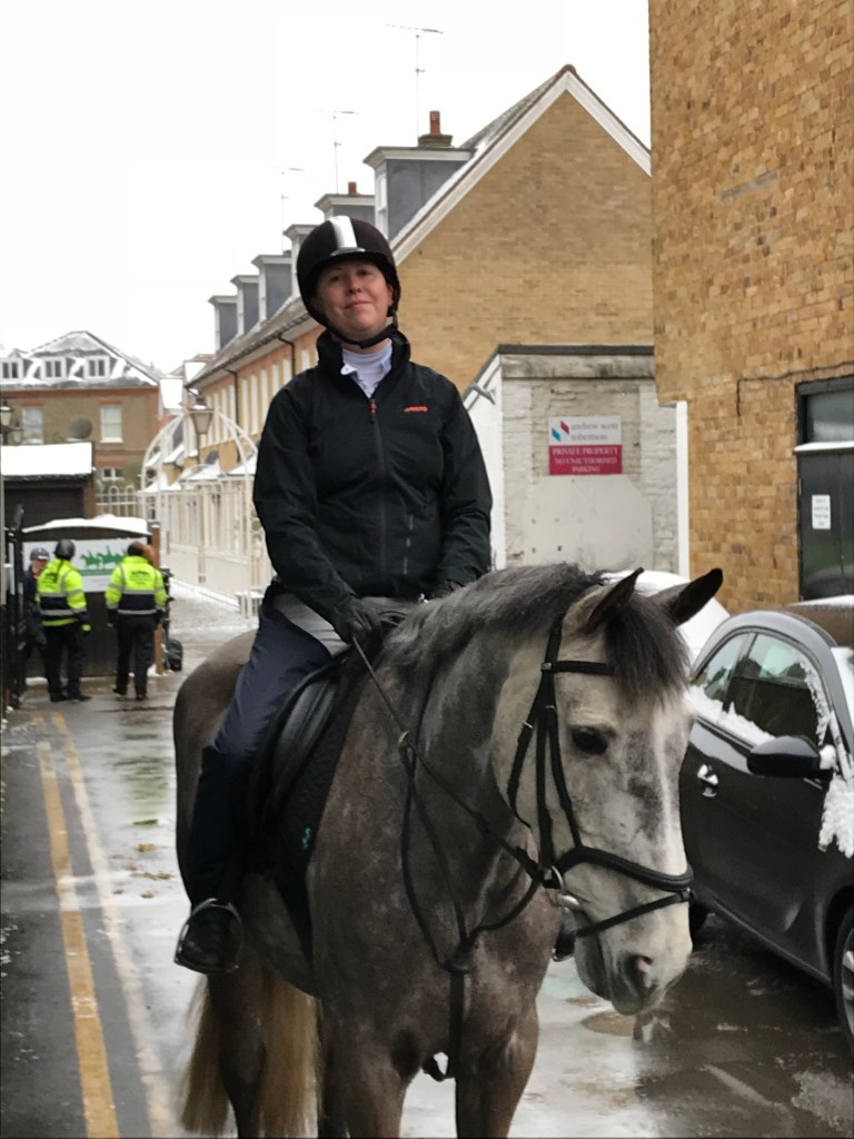 Dappled grey horse Merlin at Wimbledon Village